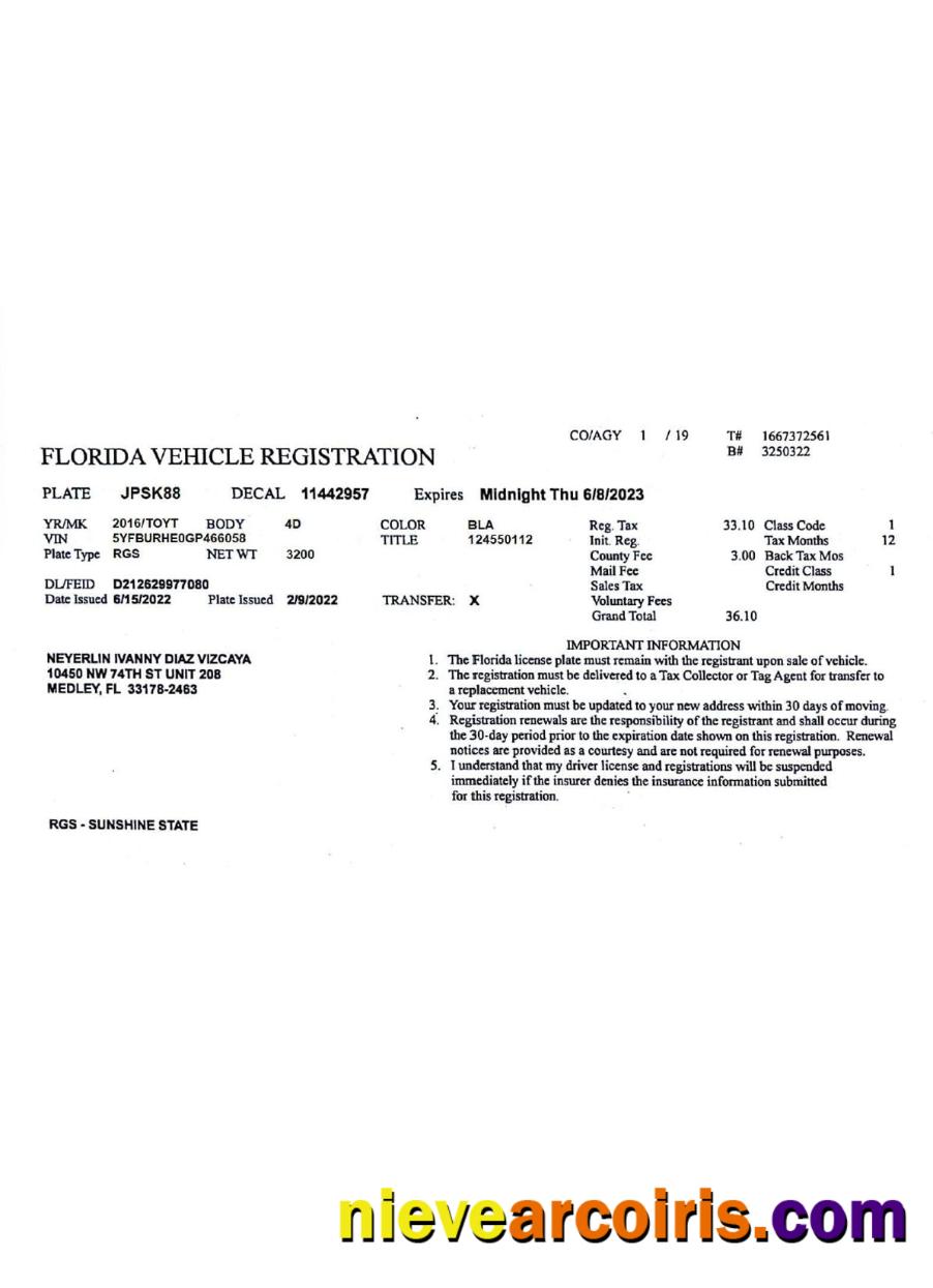 USA Florida vehicle registration license